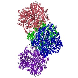 Image of CATH 1t36