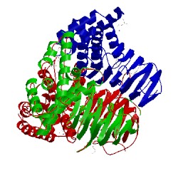 Image of CATH 1t3d