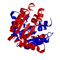 Image of CATH 1t3g