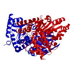 Image of CATH 1t3i