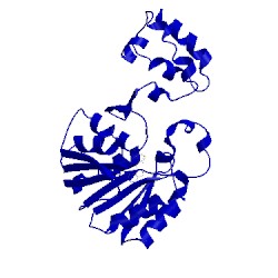 Image of CATH 1t43