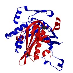 Image of CATH 1t44