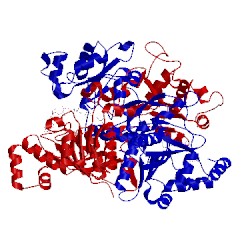 Image of CATH 1t4c