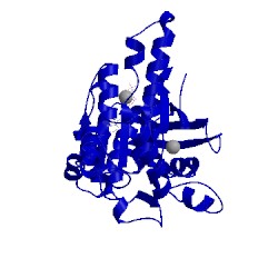 Image of CATH 1t4g