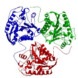 Image of CATH 1t4p