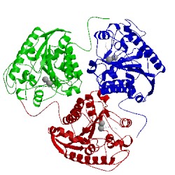 Image of CATH 1t4r