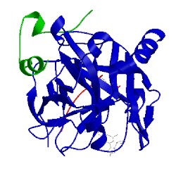 Image of CATH 1t4v