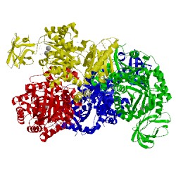 Image of CATH 1t5a