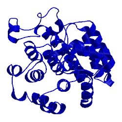 Image of CATH 1t5j