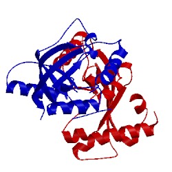 Image of CATH 1t62