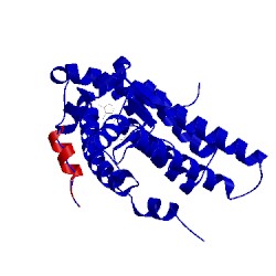 Image of CATH 1t63