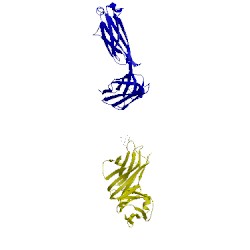 Image of CATH 1t66