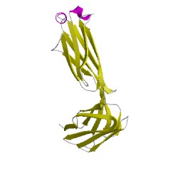 Image of CATH 1t66C