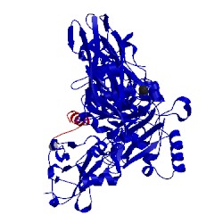 Image of CATH 1t6b