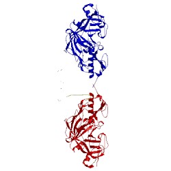 Image of CATH 1t6g