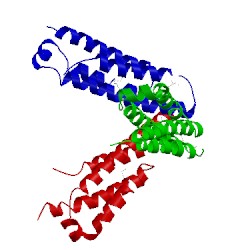 Image of CATH 1t6i