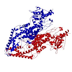 Image of CATH 1t6j