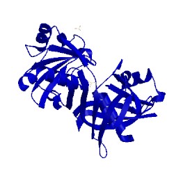 Image of CATH 1t6k