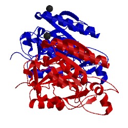 Image of CATH 1t6m