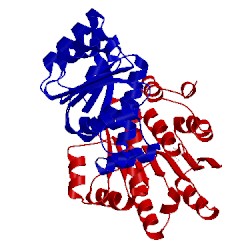 Image of CATH 1t6n