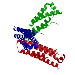Image of CATH 1t6q
