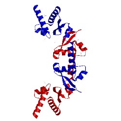 Image of CATH 1t6s