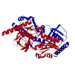 Image of CATH 1t6x