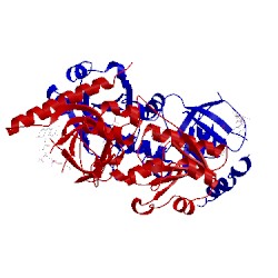 Image of CATH 1t6y