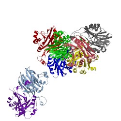 Image of CATH 1t70