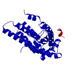 Image of CATH 1t74