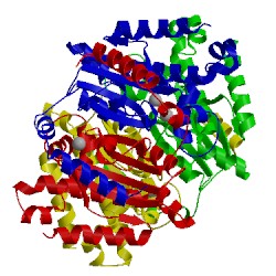 Image of CATH 1t75