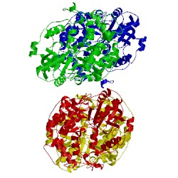 Image of CATH 1t77