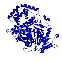 Image of CATH 1t7n