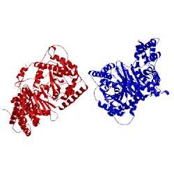 Image of CATH 1t7q