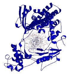 Image of CATH 1t8i