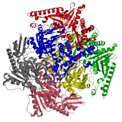 Image of CATH 1t8r