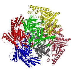 Image of CATH 1t8w