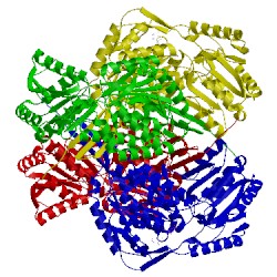 Image of CATH 1t90