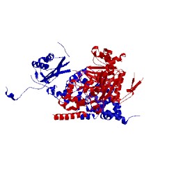 Image of CATH 1t94