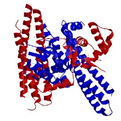 Image of CATH 1t98