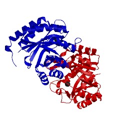 Image of CATH 1t99