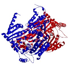 Image of CATH 1t9a
