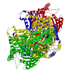 Image of CATH 1t9d