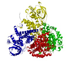 Image of CATH 1t9g