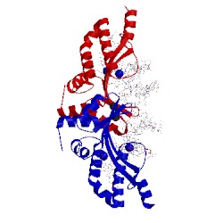 Image of CATH 1t9i