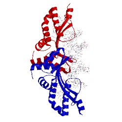 Image of CATH 1t9j