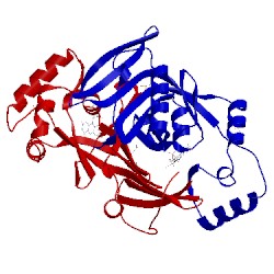 Image of CATH 1t9m