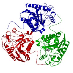 Image of CATH 1ta1