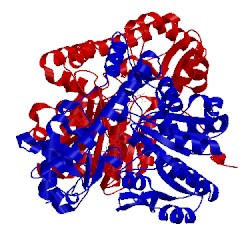 Image of CATH 1tas