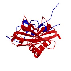 Image of CATH 1tba